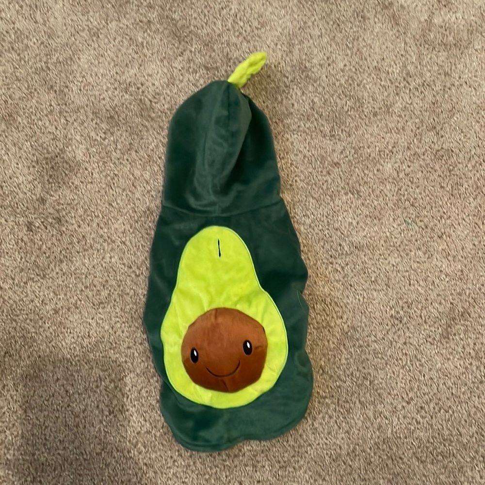 Small dog avocado costume